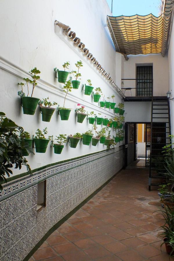 El Patio De Santiago Hotel Cordoba Ngoại thất bức ảnh